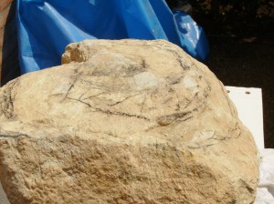 Het leven (ruwe steen)